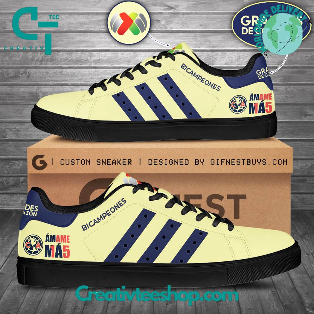 Footwearstorm Club America  Skate Stan Shoes Sneakes For Men And Women 1