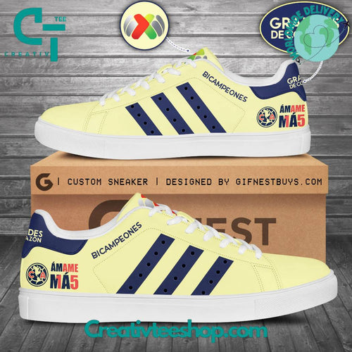 Footwearstorm Club America  Skate Stan Shoes Sneakes For Men And Women 1