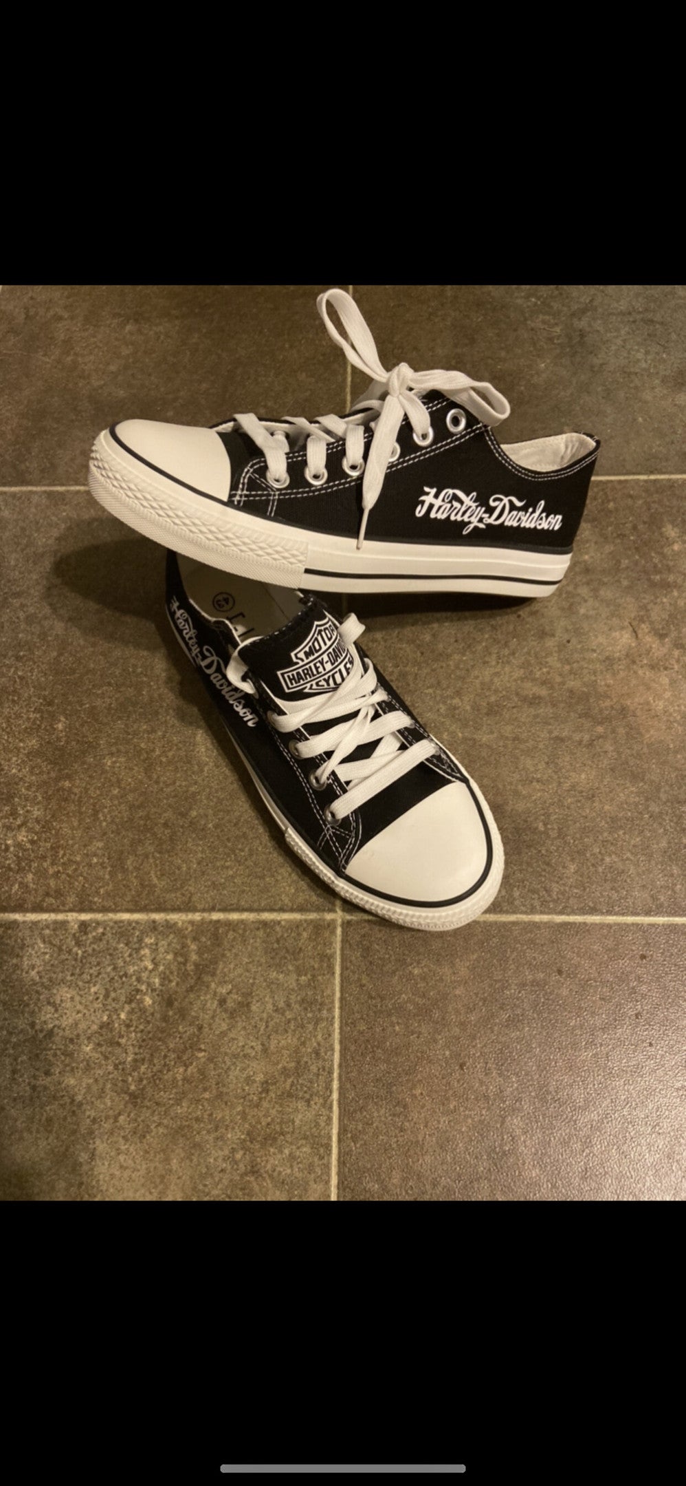 Footwearstorm Harley Davidson Low Top Canvas Sneakers Shoes For Men And Women 2