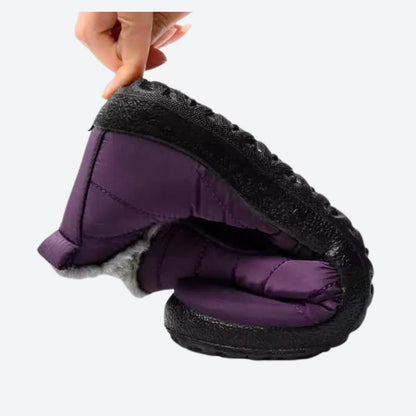 Ice Guard