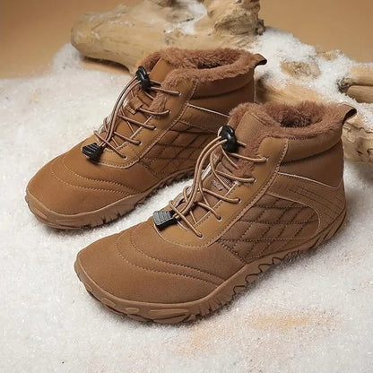 Winter Walk